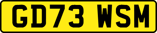 GD73WSM