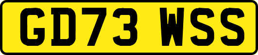 GD73WSS