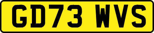 GD73WVS