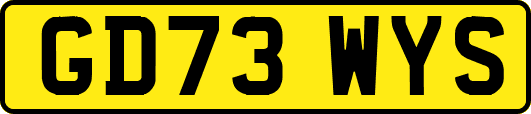 GD73WYS