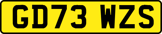 GD73WZS