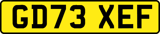 GD73XEF