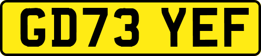 GD73YEF
