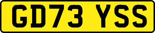GD73YSS
