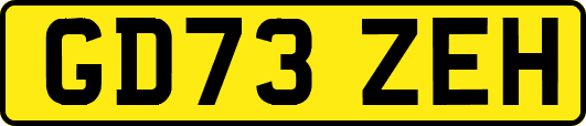 GD73ZEH