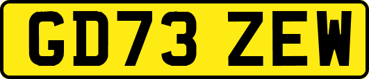 GD73ZEW