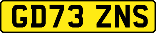 GD73ZNS