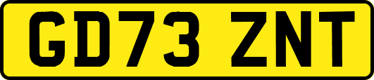 GD73ZNT