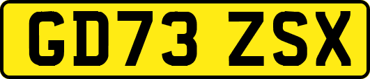 GD73ZSX