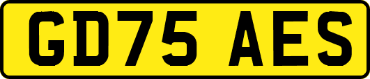GD75AES
