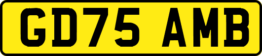 GD75AMB