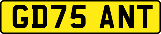 GD75ANT