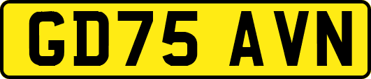 GD75AVN
