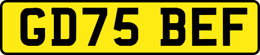 GD75BEF