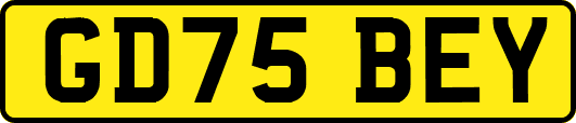 GD75BEY