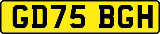 GD75BGH