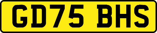 GD75BHS