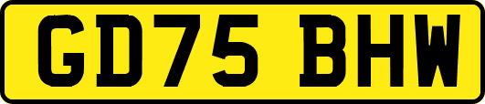 GD75BHW