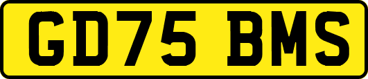 GD75BMS
