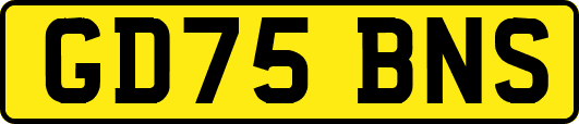 GD75BNS