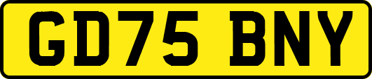 GD75BNY