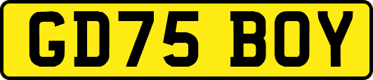 GD75BOY