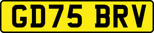 GD75BRV