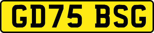 GD75BSG