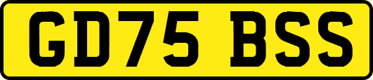 GD75BSS