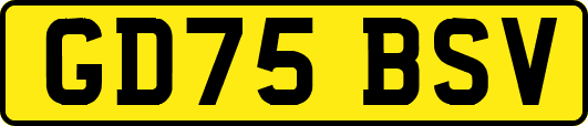 GD75BSV