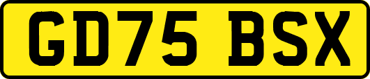 GD75BSX