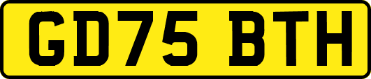 GD75BTH
