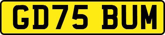 GD75BUM