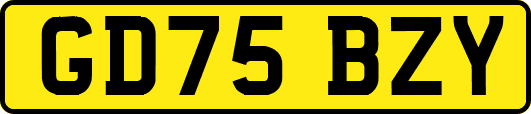 GD75BZY