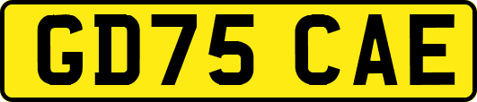 GD75CAE