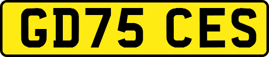 GD75CES