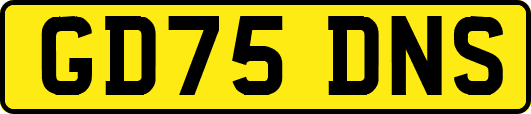 GD75DNS