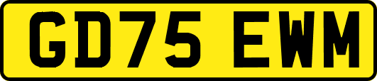 GD75EWM
