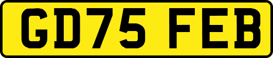 GD75FEB
