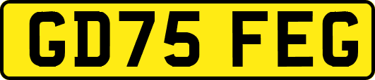 GD75FEG