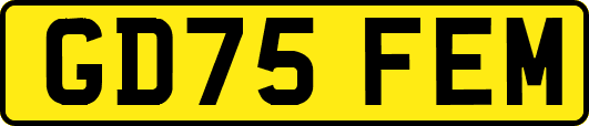 GD75FEM