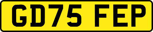 GD75FEP