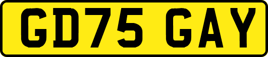 GD75GAY
