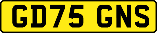 GD75GNS