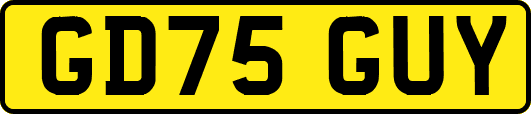 GD75GUY