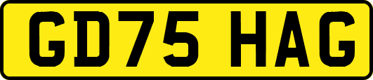 GD75HAG