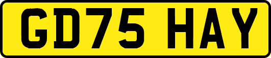 GD75HAY