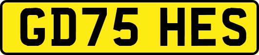 GD75HES