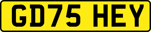 GD75HEY