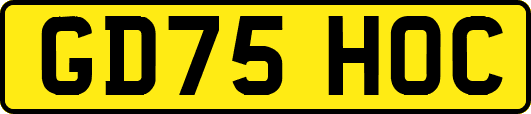GD75HOC